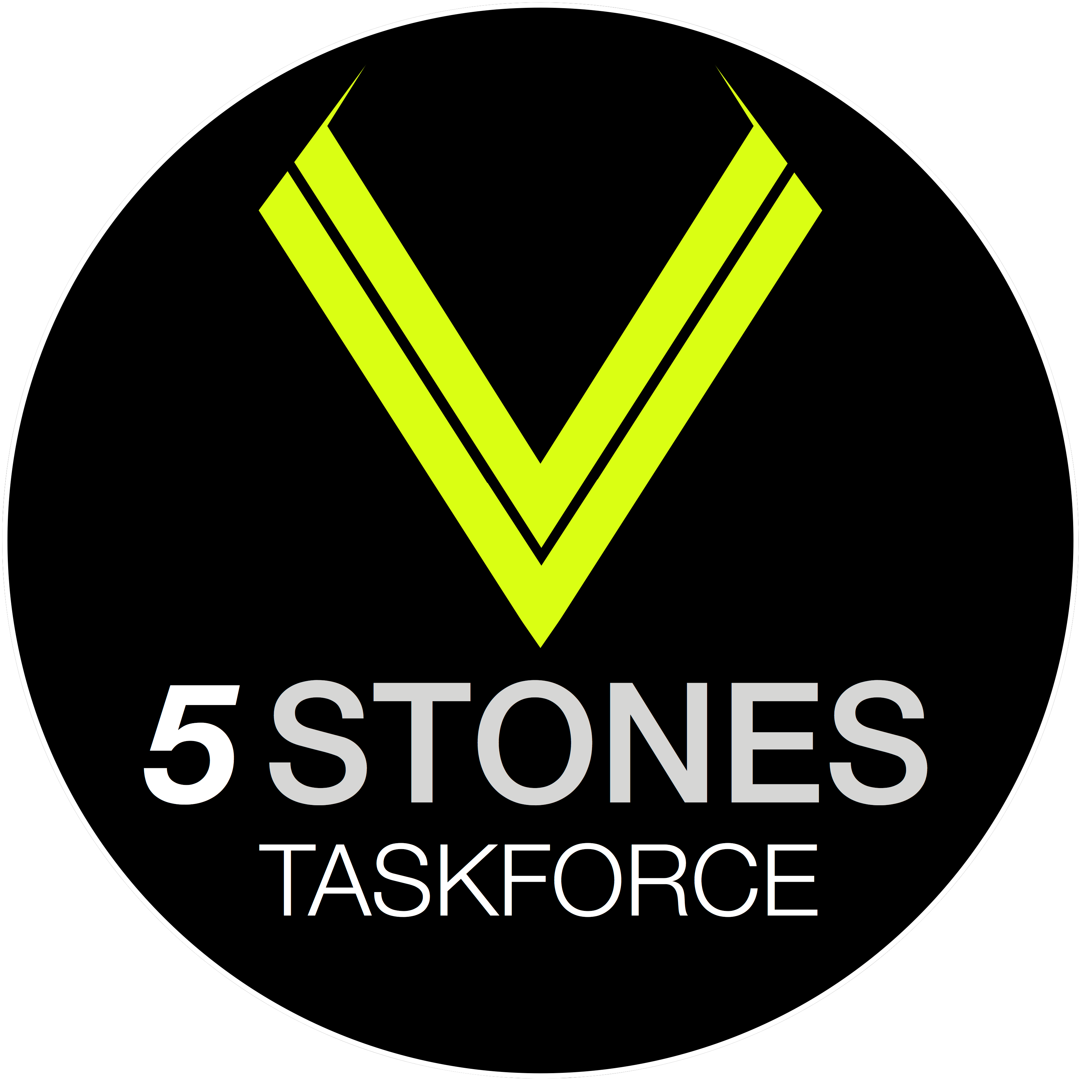 Tarrant County 5 Stones Taskforce badge
